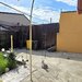 Alexandrie sector 5, casa parter 3 camere de vanzare